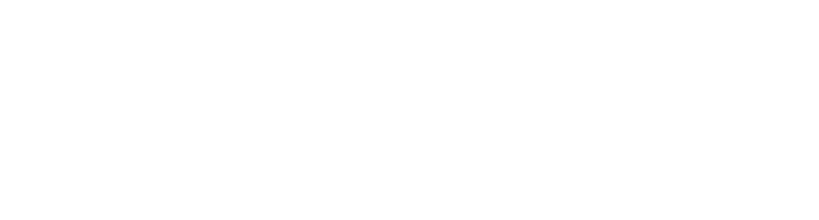 The Mustangs Film